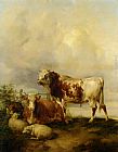Sheep Canvas Paintings - A Bull and Cow with Two Sheep and Goat